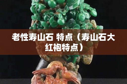 老性壽山石 特點（壽山石大紅袍特點）