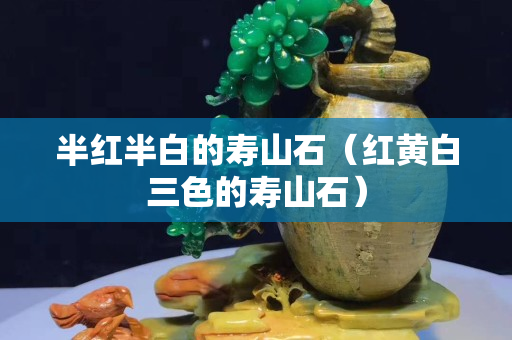半紅半白的壽山石（紅黃白三色的壽山石）