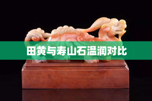 田黃與壽山石溫潤(rùn)對(duì)比