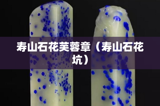 壽山石花芙蓉章（壽山石花坑）