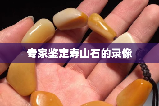 專家鑒定壽山石的錄像 專家鑒定壽山石的錄像