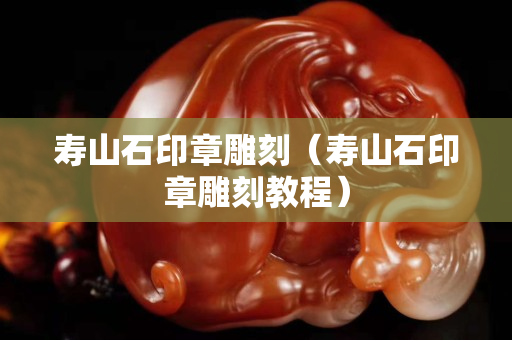 壽山石印章雕刻（壽山石印章雕刻教程）
