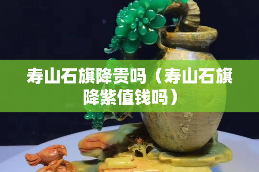 壽山石旗降貴嗎（壽山石旗降紫值錢嗎）