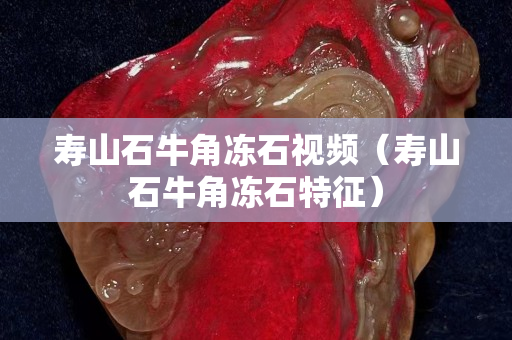 壽山石牛角凍石視頻（壽山石牛角凍石特征）