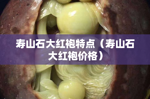 壽山石大紅袍特點（壽山石大紅袍價格）