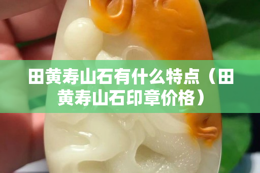 田黃壽山石有什么特點（田黃壽山石印章價格）