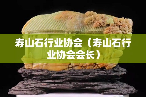 壽山石行業(yè)協(xié)會(huì)（壽山石行業(yè)協(xié)會(huì)會(huì)長(zhǎng)）