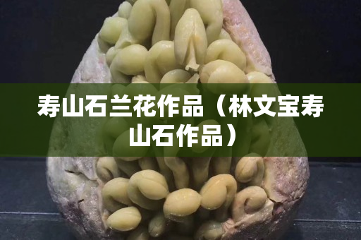 壽山石蘭花作品（林文寶壽山石作品）