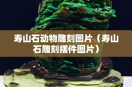 壽山石動物雕刻圖片（壽山石雕刻擺件圖片）