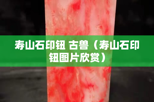 壽山石印鈕 古獸（壽山石印鈕圖片欣賞）