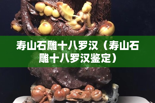 壽山石雕十八羅漢（壽山石雕十八羅漢鑒定）
