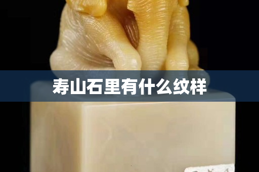 壽山石里有什么紋樣