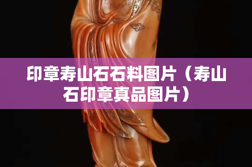 印章壽山石石料圖片（壽山石印章真品圖片）