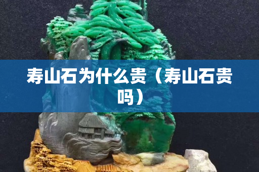 壽山石為什么貴（壽山石貴嗎）