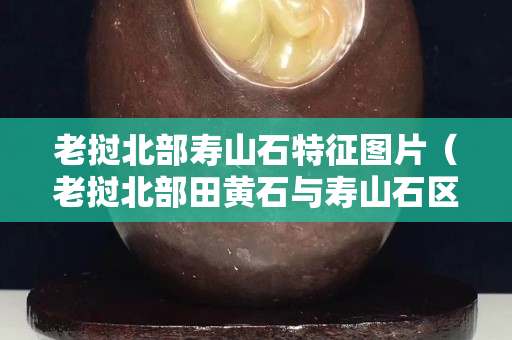 老撾北部壽山石特征圖片（老撾北部田黃石與壽山石區別）