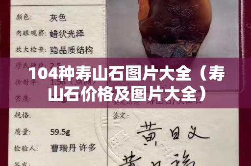 104種壽山石圖片大全(壽山石價格及圖片大全) 104種壽山石圖片大全(壽山石價格及圖片大全)