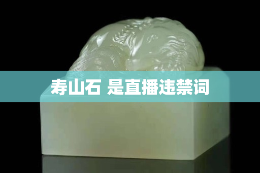 壽山石 是直播違禁詞