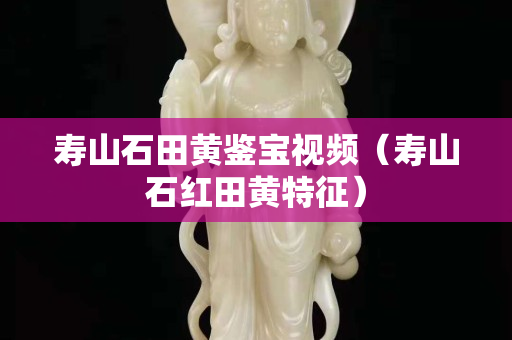 壽山石田黃鑒寶視頻（壽山石紅田黃特征）