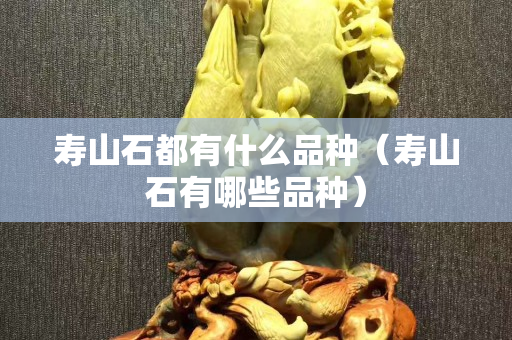 壽山石都有什么品種（壽山石有哪些品種）