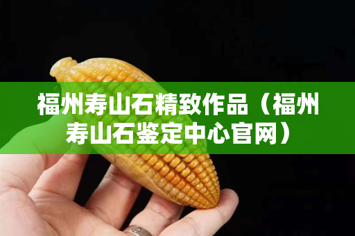 福州壽山石精致作品（福州壽山石鑒定中心官網）