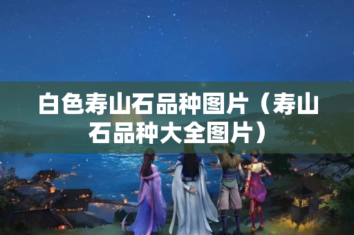 白色壽山石品種圖片（壽山石品種大全圖片）