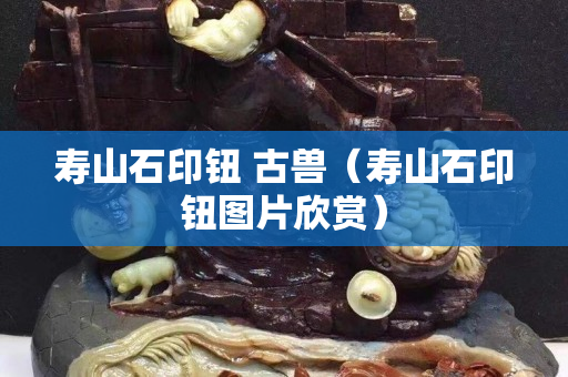 壽山石印鈕 古獸（壽山石印鈕圖片欣賞）