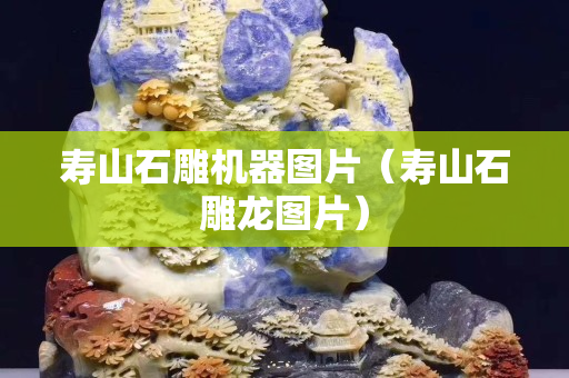 壽山石雕機器圖片（壽山石雕龍圖片）