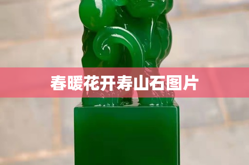 春暖花開壽山石圖片