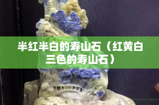 半紅半白的壽山石（紅黃白三色的壽山石）