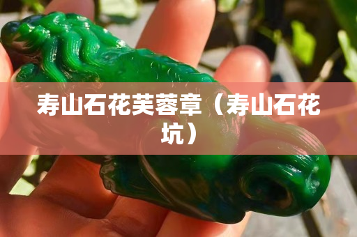 壽山石花芙蓉章(壽山石花坑) 壽山石花芙蓉章(壽山石花坑)