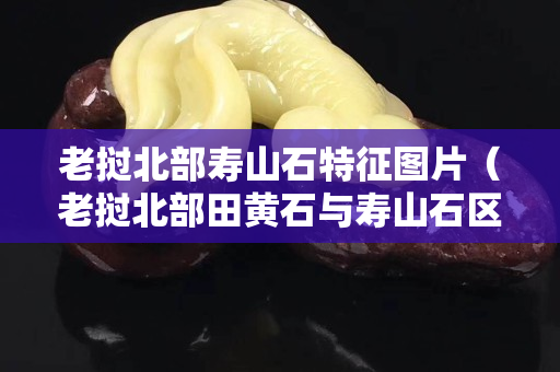 老撾北部壽山石特征圖片（老撾北部田黃石與壽山石區(qū)別）