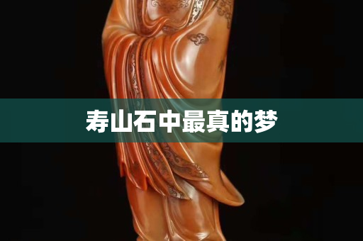 壽山石中最真的夢(mèng)