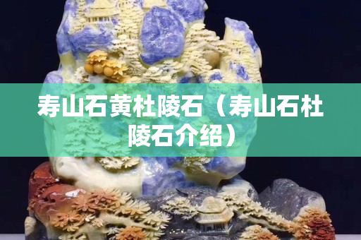 壽山石黃杜陵石（壽山石杜陵石介紹）