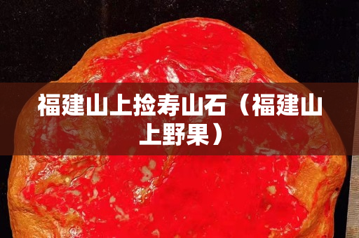 福建山上撿壽山石(福建山上野果) 福建山上撿壽山石(福建山上野果)