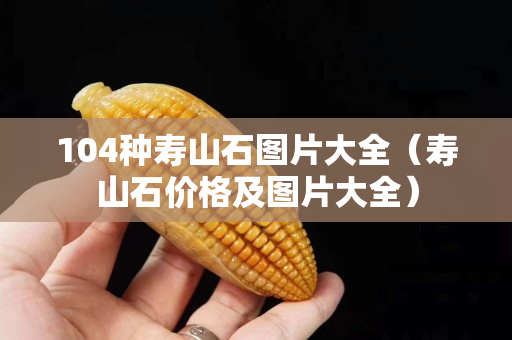 104種壽山石圖片大全（壽山石價格及圖片大全）