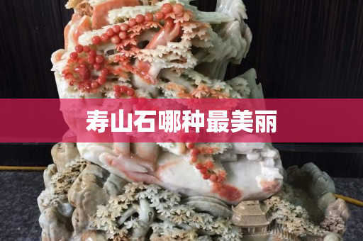 壽山石哪種最美麗