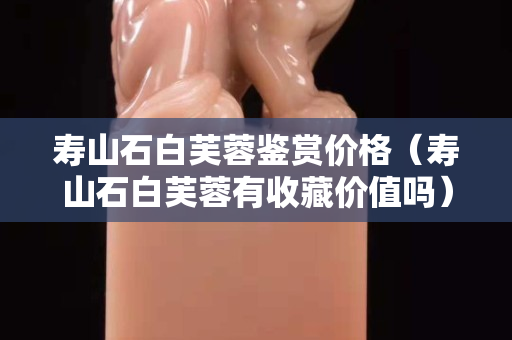 壽山石白芙蓉鑒賞價(jià)格（壽山石白芙蓉有收藏價(jià)值嗎）