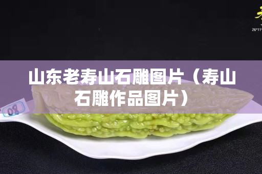 山東老壽山石雕圖片（壽山石雕作品圖片）