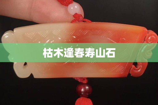 枯木逢春壽山石