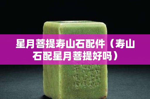 星月菩提壽山石配件（壽山石配星月菩提好嗎）