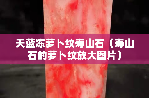 天藍凍蘿卜紋壽山石(壽山石的蘿卜紋放大圖片) 天藍凍蘿卜紋壽山石(壽山石的蘿卜紋放大圖片)