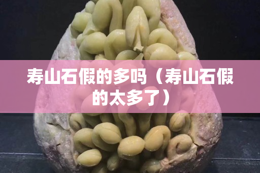 壽山石假的多嗎（壽山石假的太多了）