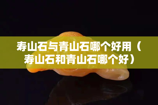 壽山石與青山石哪個好用(壽山石和青山石哪個好) 壽山石與青山石哪個好用(壽山石和青山石哪個好)