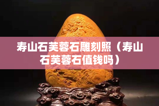 壽山石芙蓉石雕刻照（壽山石芙蓉石值錢嗎）