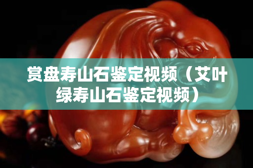 賞盤壽山石鑒定視頻（艾葉綠壽山石鑒定視頻）