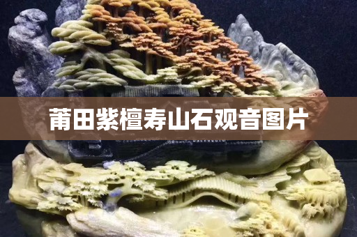 莆田紫檀壽山石觀音圖片