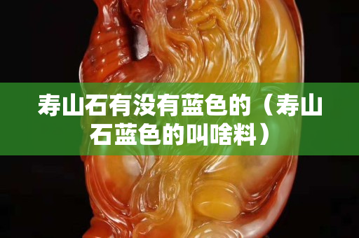 壽山石有沒有藍(lán)色的（壽山石藍(lán)色的叫啥料）