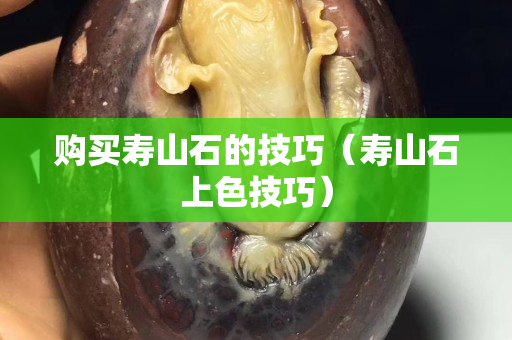 購買壽山石的技巧（壽山石上色技巧）