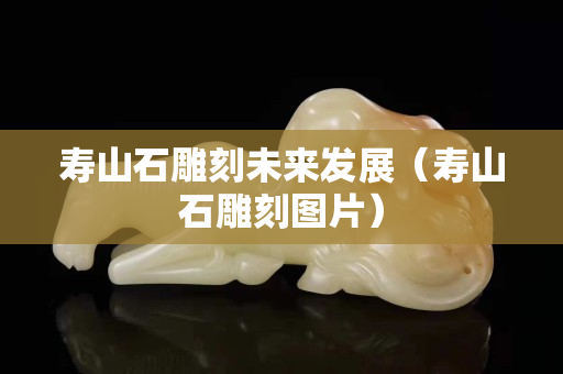 壽山石雕刻未來發展（壽山石雕刻圖片）