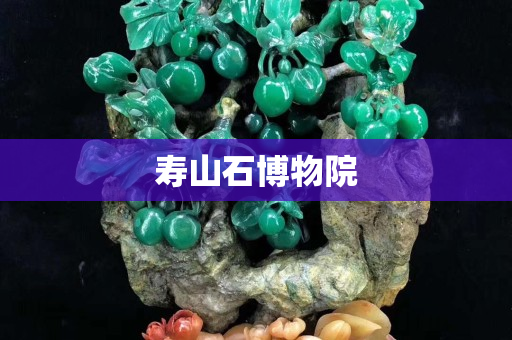 壽山石博物院